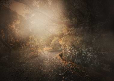 Portugal island, landscape