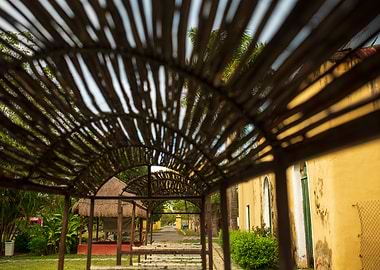 Old horse train carriage