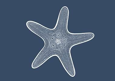 Detailed Starfish Drawing