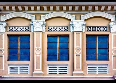 The Singapore Shophouse