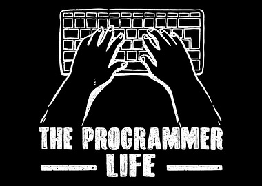 Programmer Software