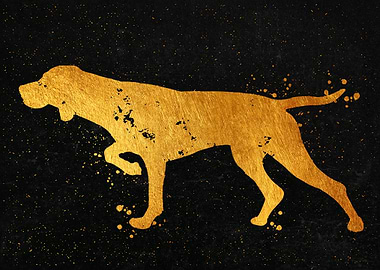 Hungarian Vizsla Dog