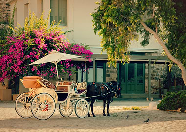 Holiday in Crete Island