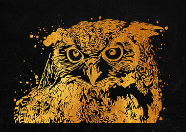 Owl Portrait