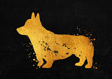 Pembroke Welsh Corgi