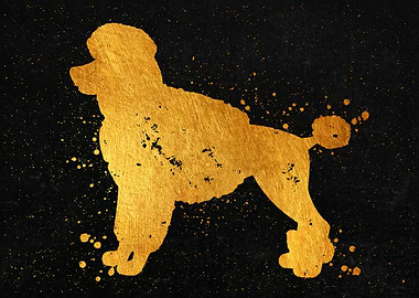 Poodle Dog