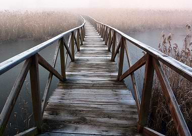Wooden Bridge at Lake