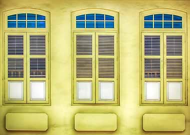 The Singapore Shophouse