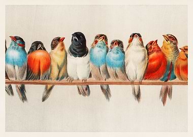 A Perch of Birds vintage