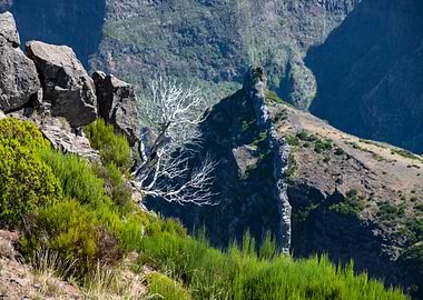 Madeira landscape,Portugal