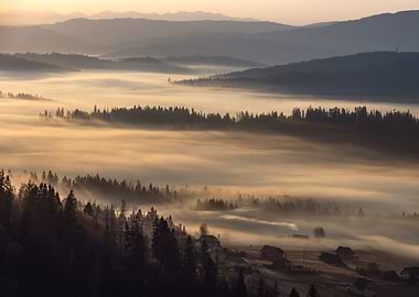 Autumn misty sunrise, view