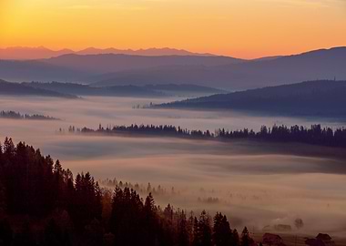 Autumn misty sunrise, view