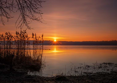 Frozen dawn, wild nature