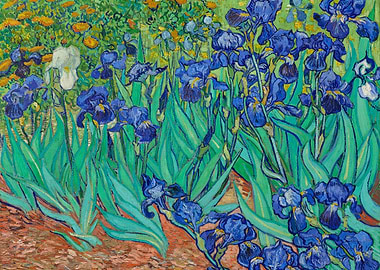Irises Vincent Gogh