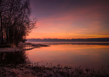 Winter morning in the park