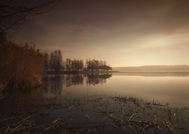 Winter sunrise,lake,trees