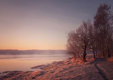 Winter morning in the park