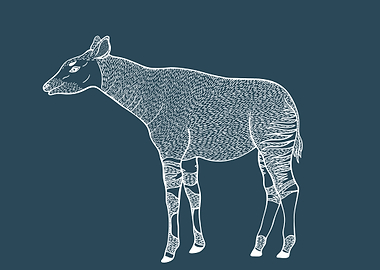 Okapi Animal Ink Art Blue