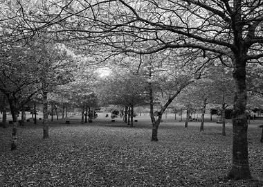 Serene landscape with tree