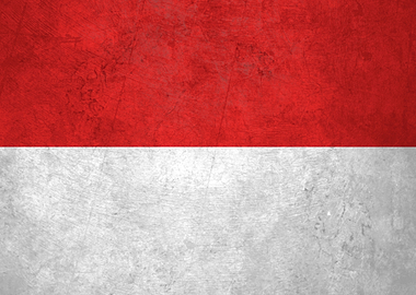 Flag of Indonesia on Wall