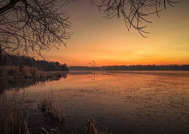 Winter sunrise,lake,trees