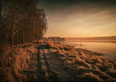 Winter sunrise,lake,trees