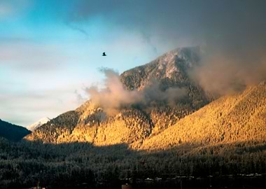 Mountains in the sun