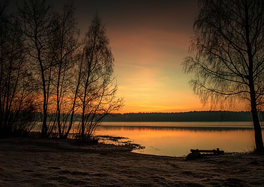 Winter landscape and trees