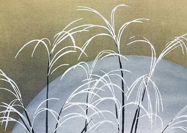 Frost from Momoyogusa