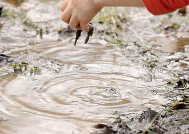 Mud pond play detail rock