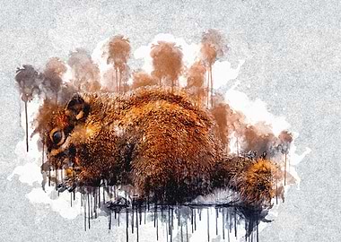 Squirrels Bokeh Side Eatin