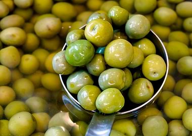 Castelvetrano Sweet Green