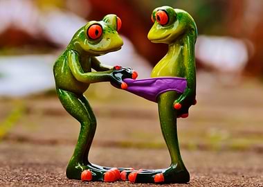 COUPLE OF FUNNY FROGS