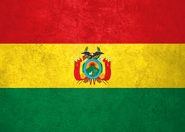 Flag of Bolivia on Wall