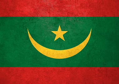 Flag of Mauritania on Wall