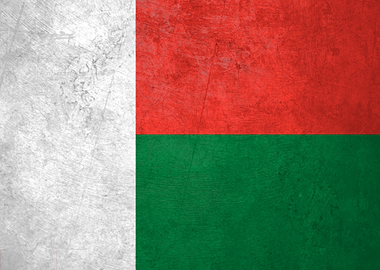 Flag of Madagascar on Wall