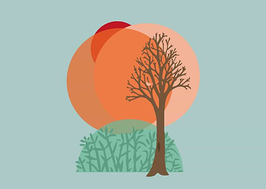 Bare Tree Sunset Winter