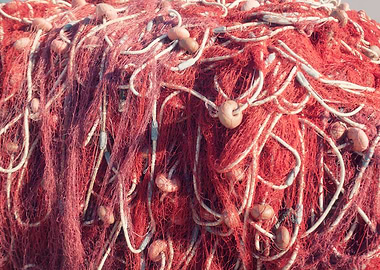 Fishing net tangled det