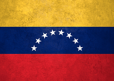 Flag of Venezuela on Wall