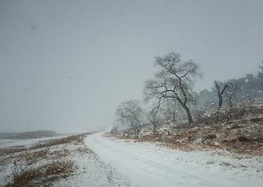 Country road in snow