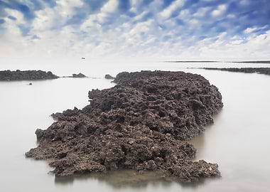 Algae Reef Scenic Taiwan