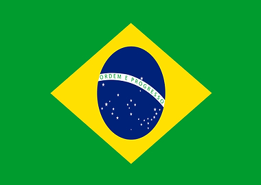 Brazilian Flag