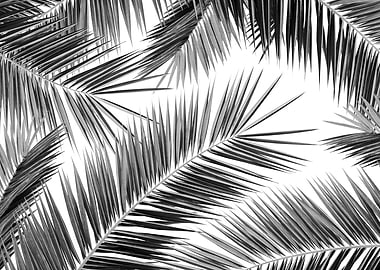 Palm Leaves Jungle 3