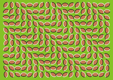AMAZING ILLUSION 2