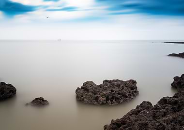 Algae Reef Scenic Taiwan