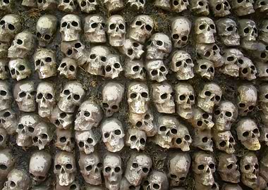 Human skulls