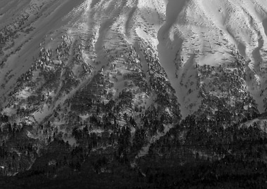 The heart of the beast