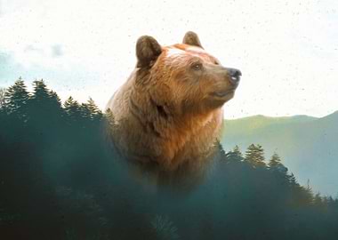 Brown bear