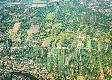 Aerial View Landscape