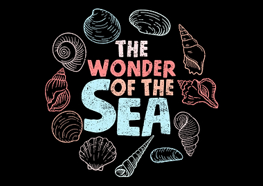 Seashell Collector Sea